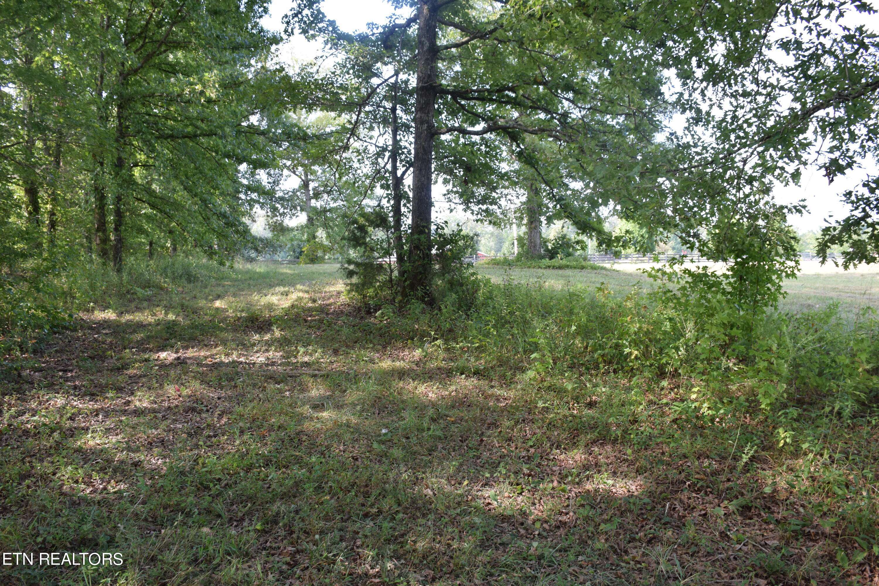 Lenoir City, TN 37772,LOT 5 Northshore DR