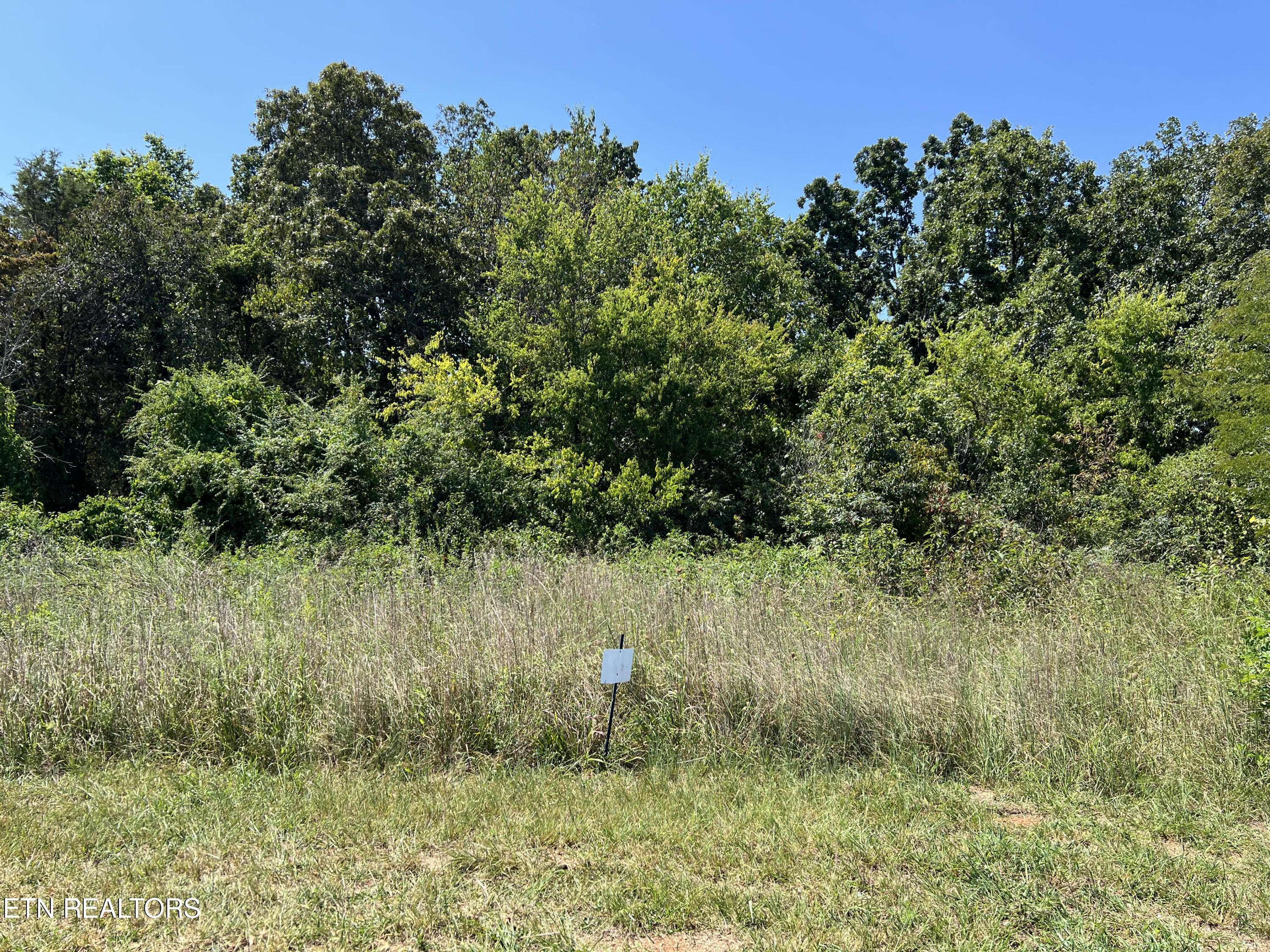 Sweetwater, TN 37874,Lot 33 High Ridge Road