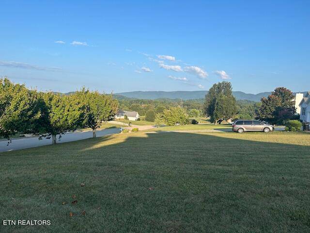 Maryville, TN 37803,Lot 20 Cavet DR