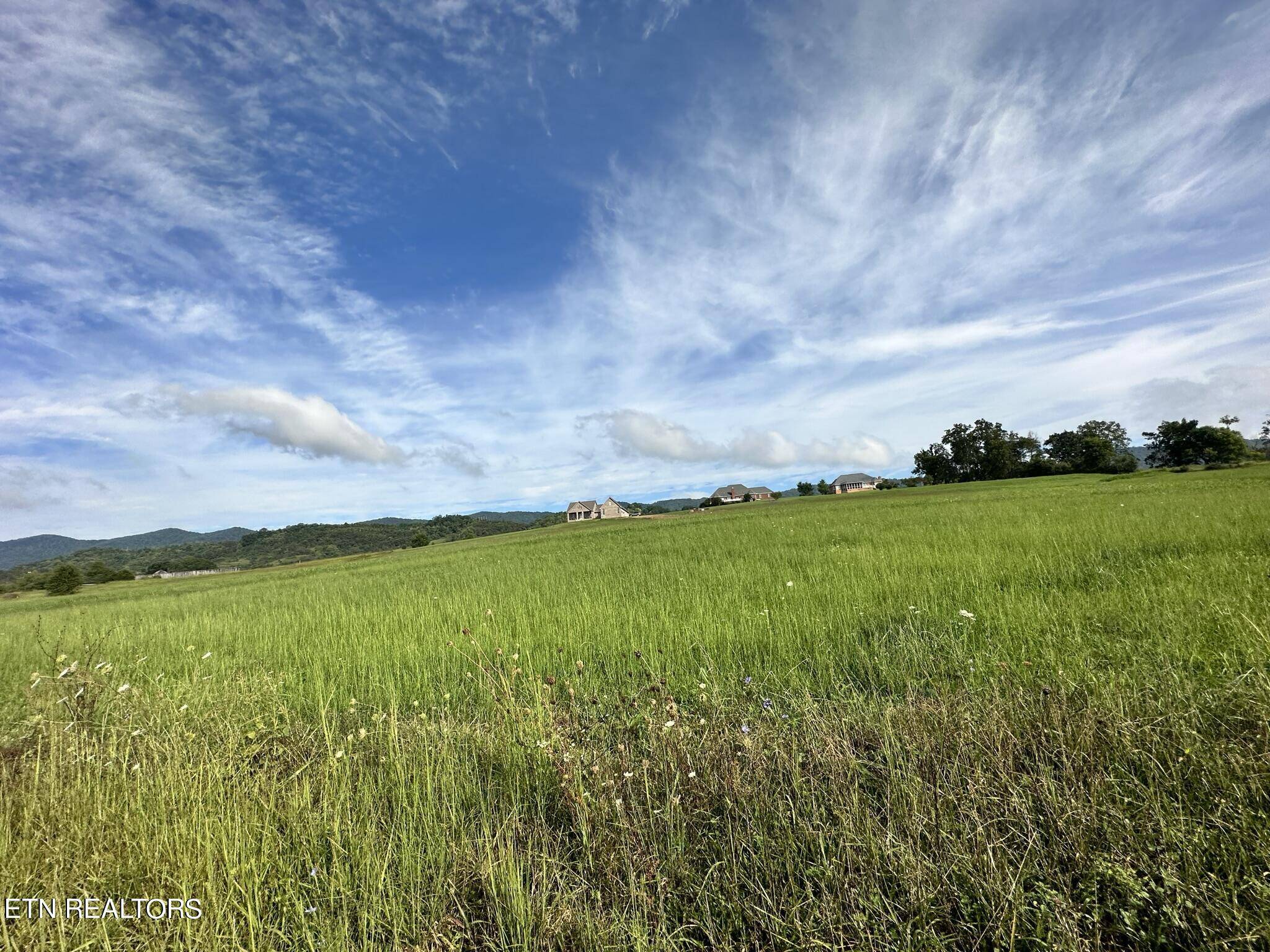 Speedwell, TN 37870,Lot 13 Bluebird LN