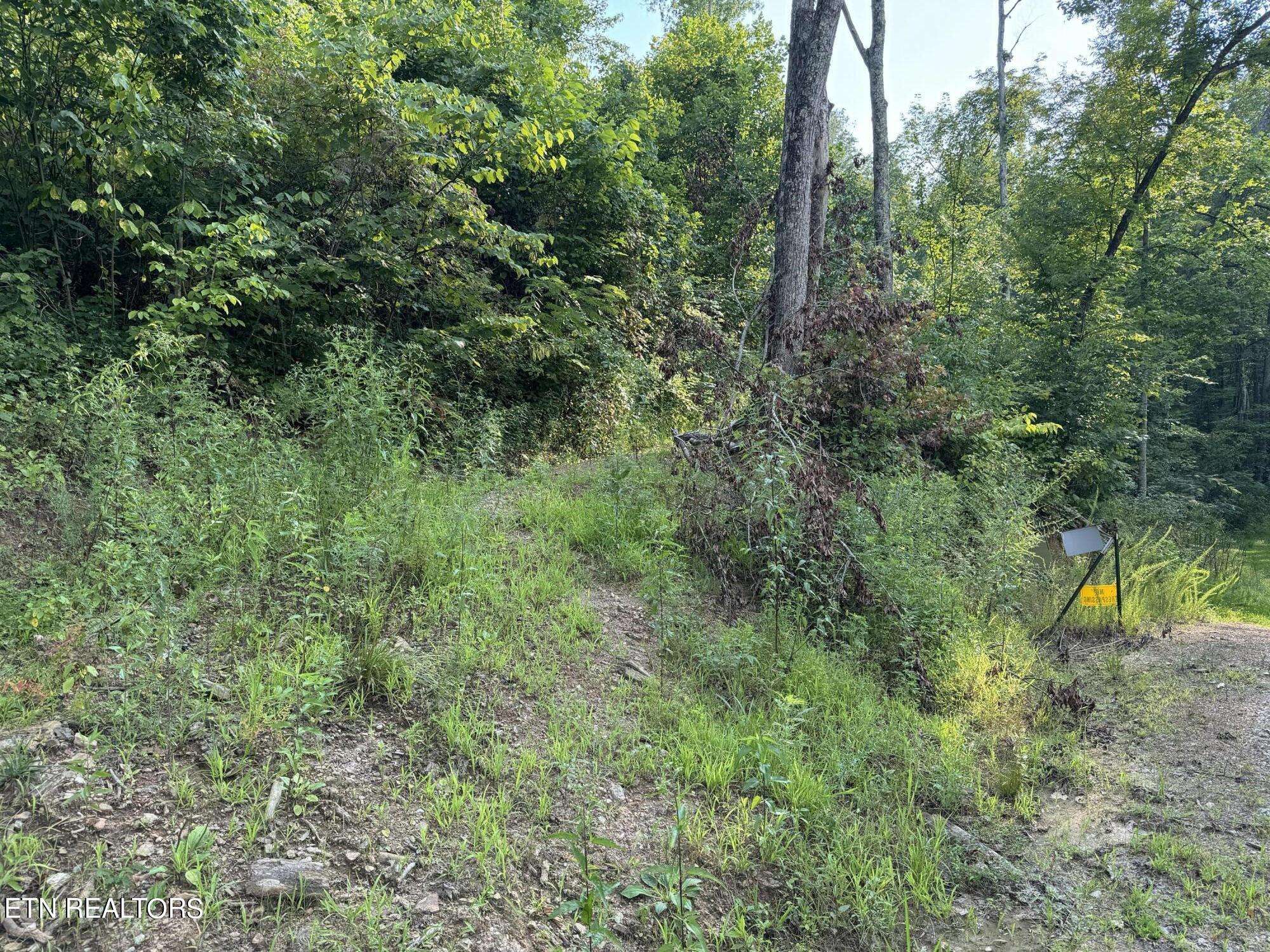 Winfield, TN 37892,Roe(tract 5) LN