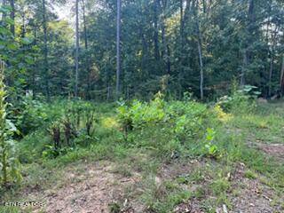 Harriman, TN 37748,0 Trillium Circle