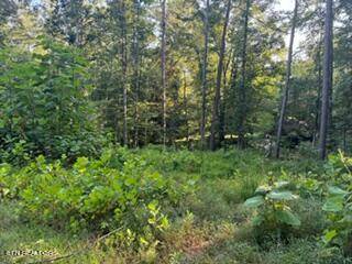 Harriman, TN 37748,0 Trillium Circle