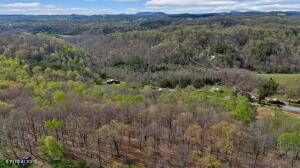 New Market, TN 37820,Lot 4 Wonder Lane