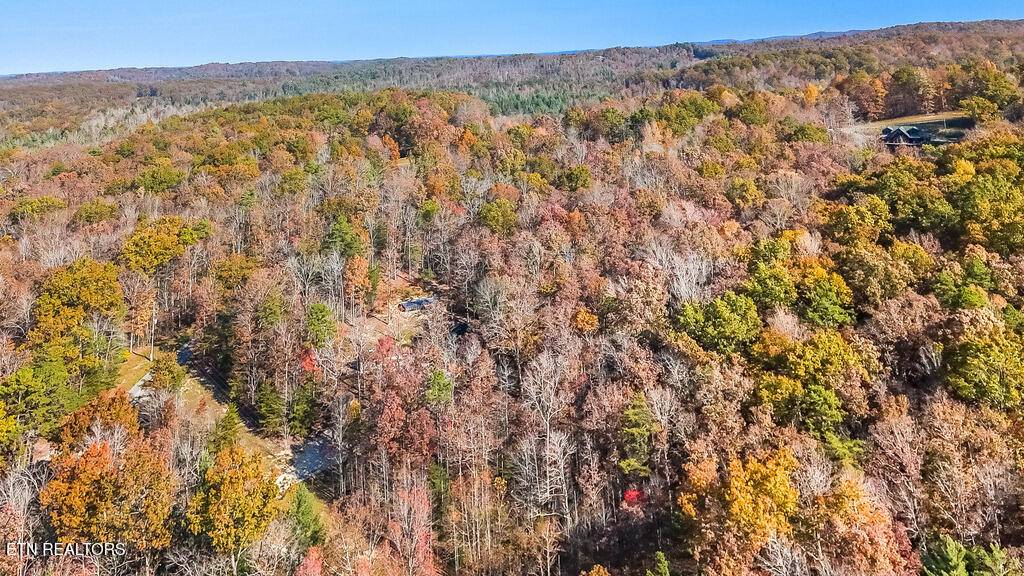 Oneida, TN 37841,279 Bear Hollow Rd