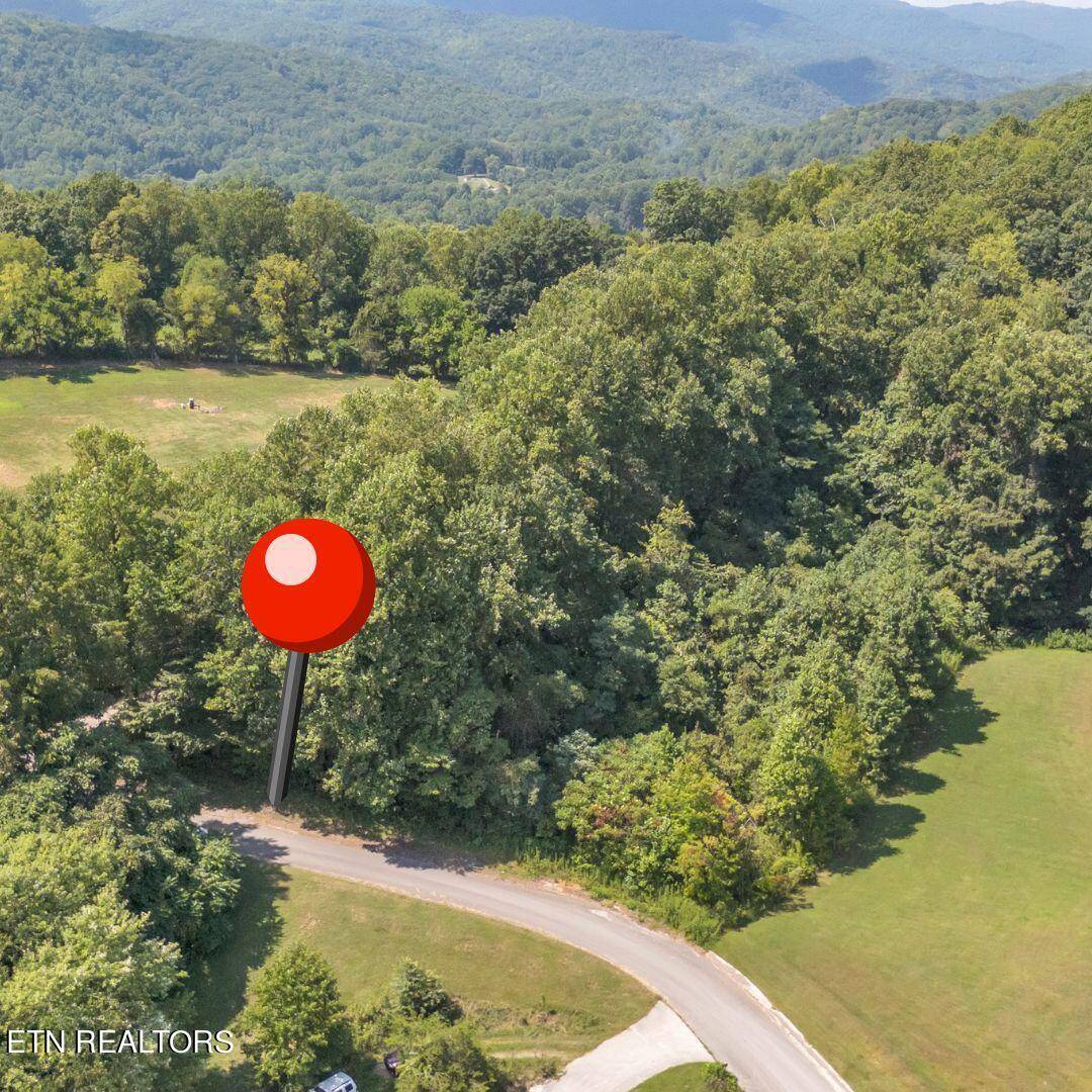 Caryville, TN 37714,Emerald Glen DR