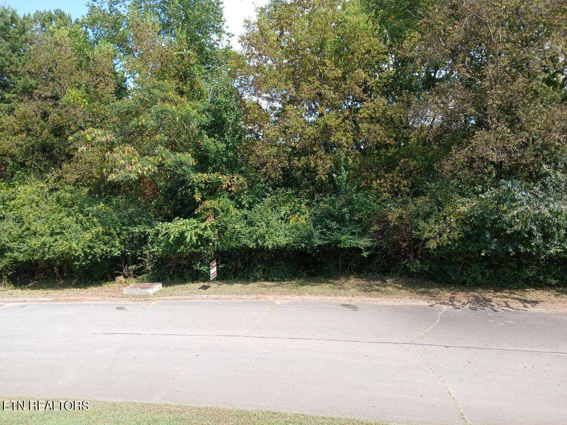 Loudon, TN 37774,161 Trail View DR