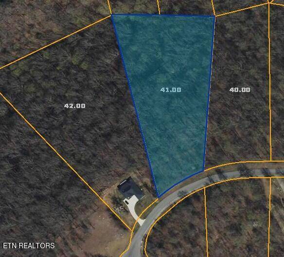 New Tazewell, TN 37825,0 Tanzanite Trail Lot 240 Tr