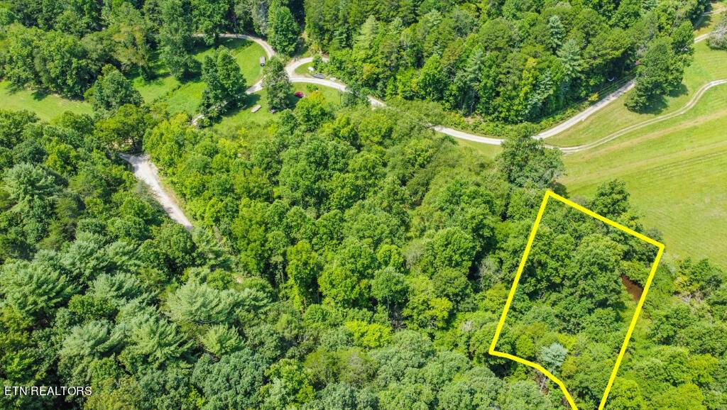 Tellico Plains, TN 37385,13675 New Hwy 68