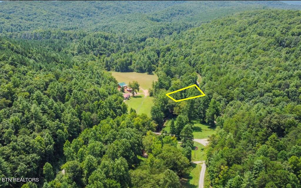 Tellico Plains, TN 37385,13677 New Hwy 68