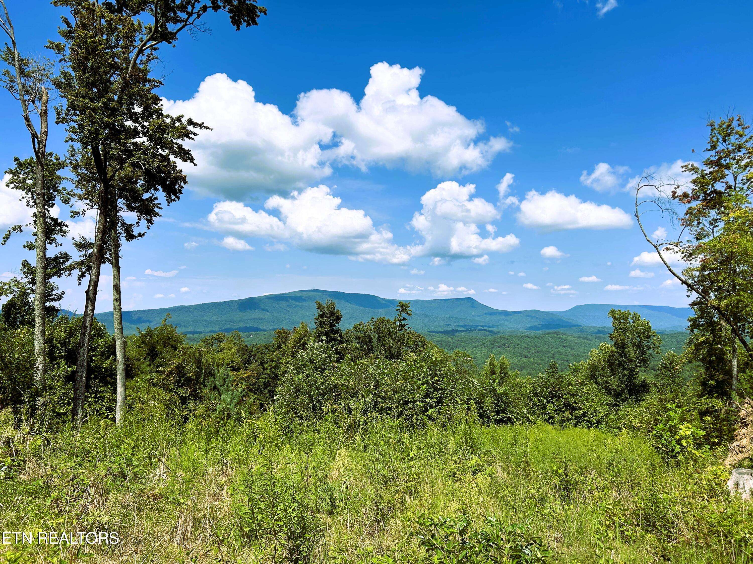 Reliance, TN 37369,31.54 acre Chestnut Mountain Road