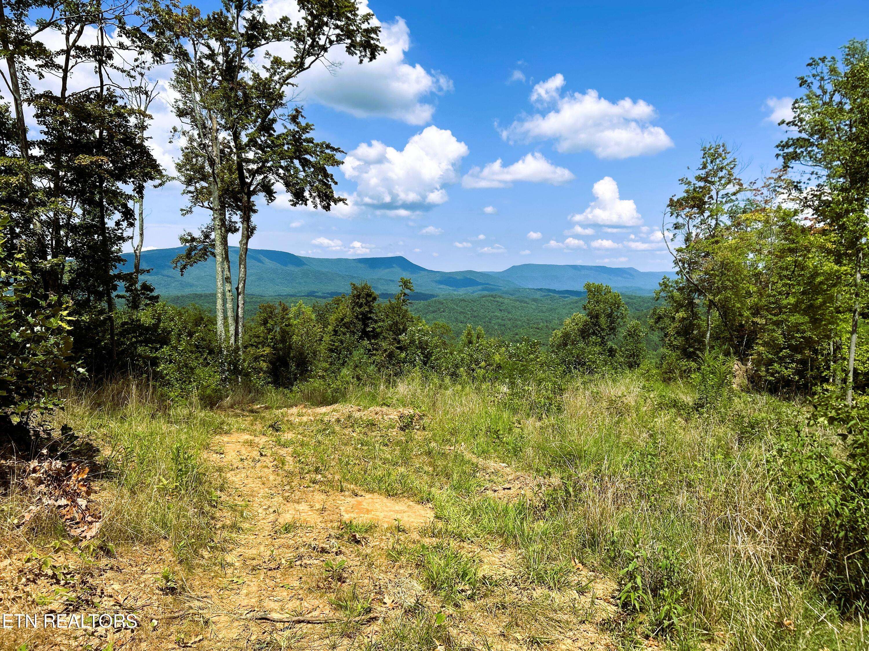 Reliance, TN 37369,31.54 acre Chestnut Mountain Road