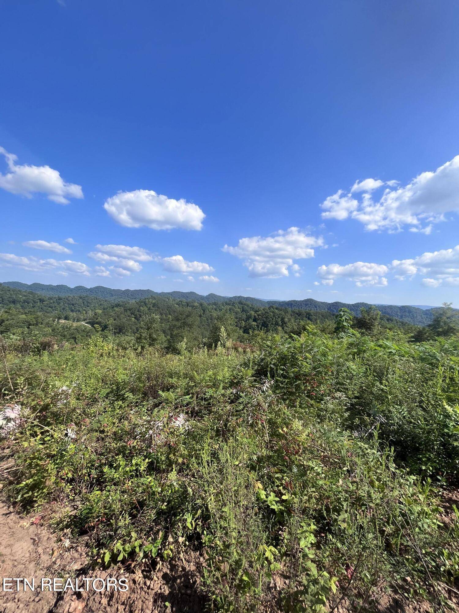Tazewell, TN 37879,Tower Rd