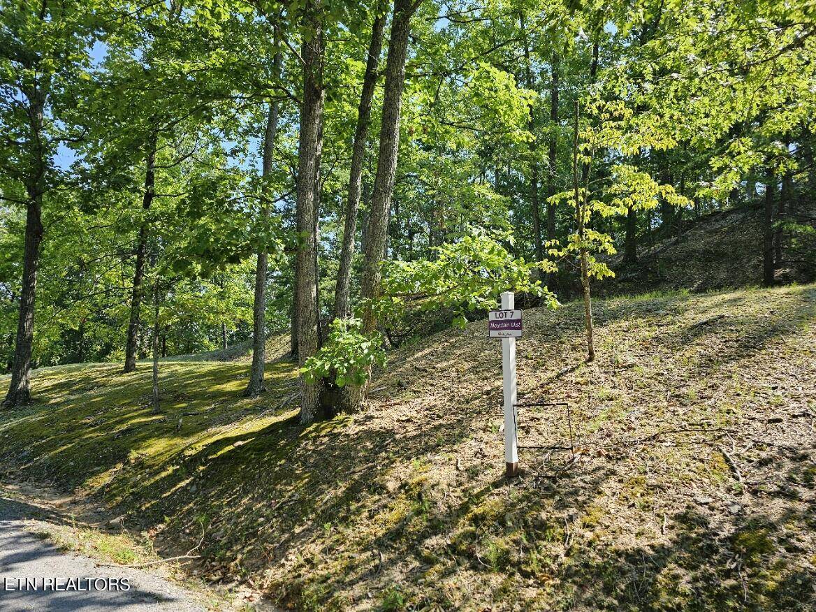 Sevierville, TN 37876,Lot 7-AR Village CIR