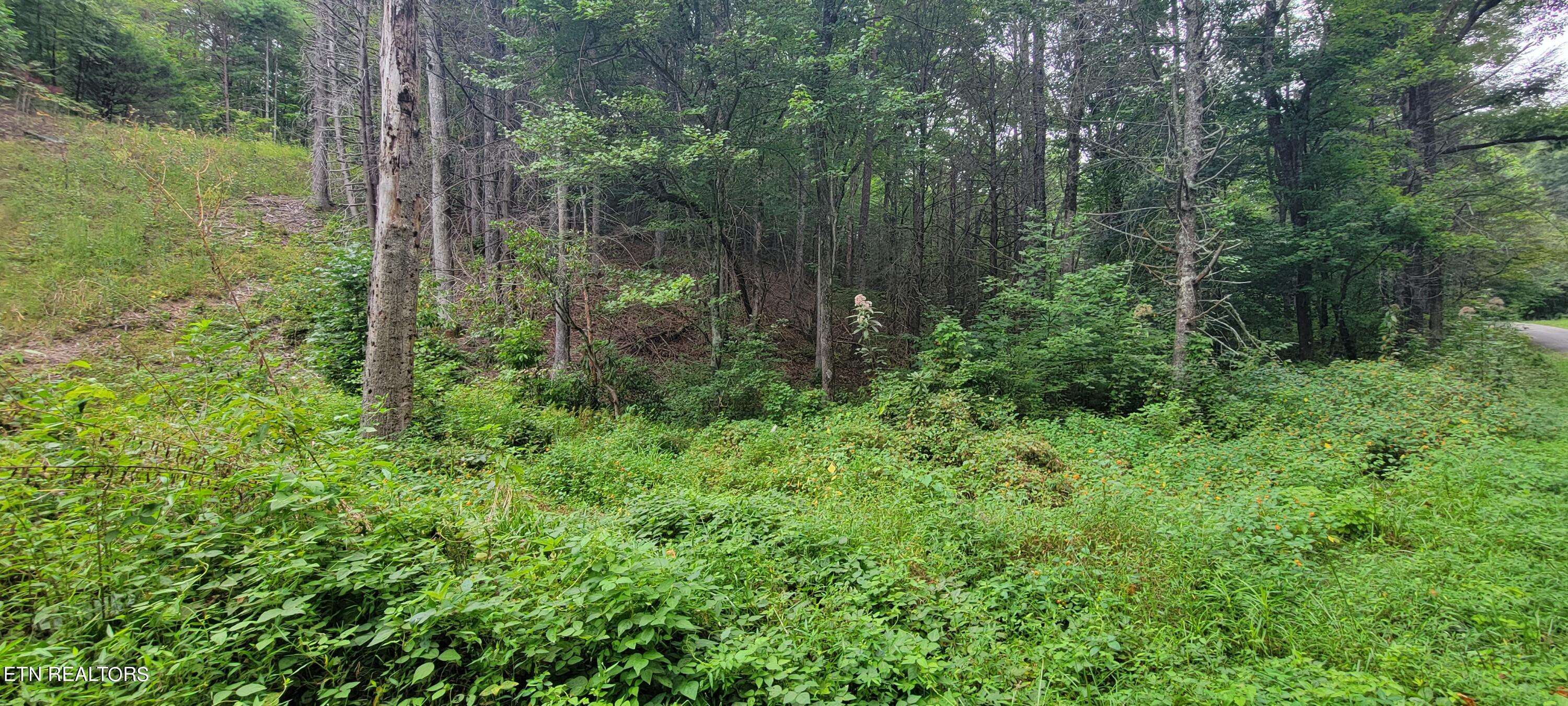 Tellico Plains, TN 37385,Bailey Rd