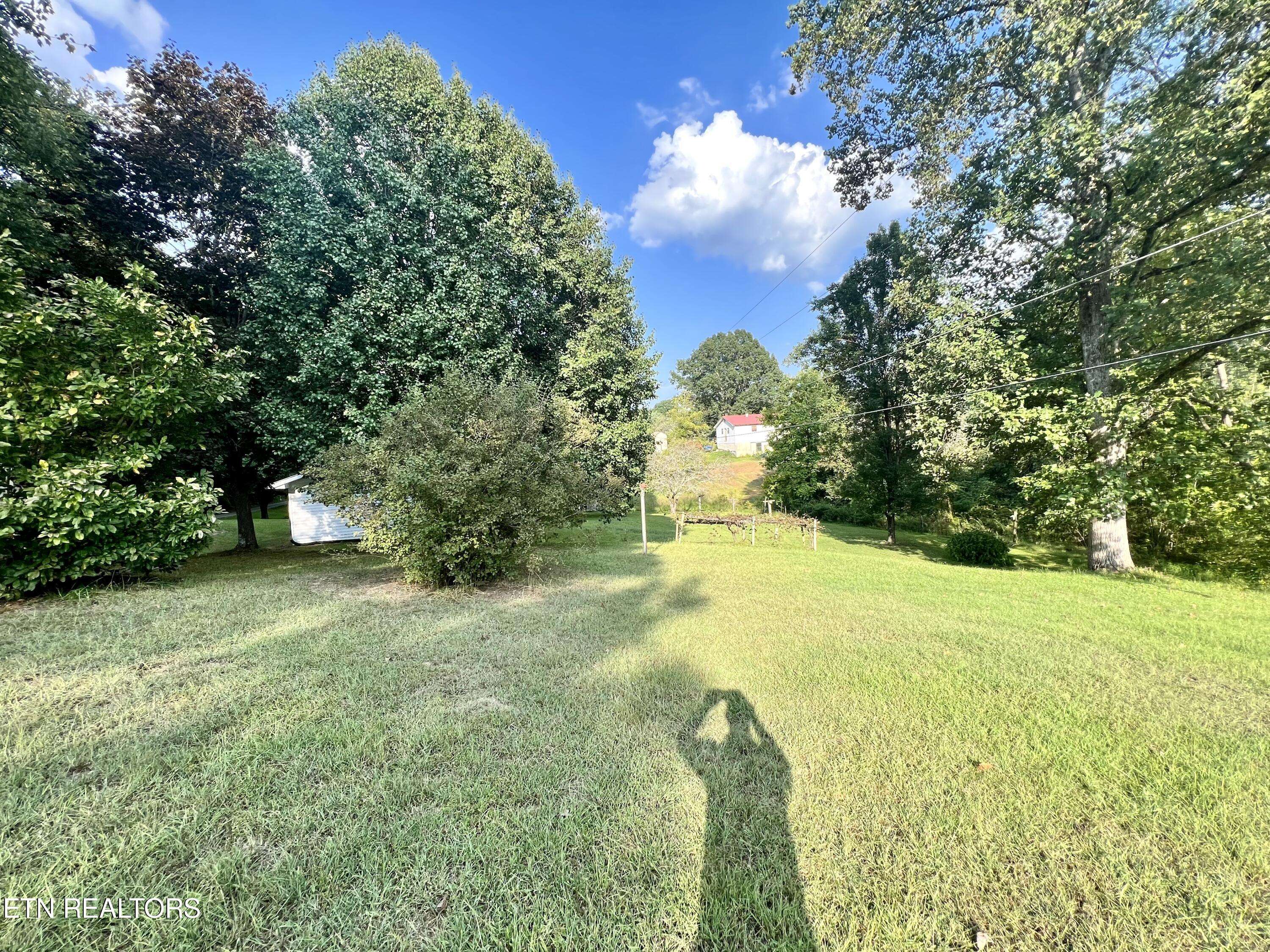 Oneida, TN 37841,151 Oliver Slaven LN