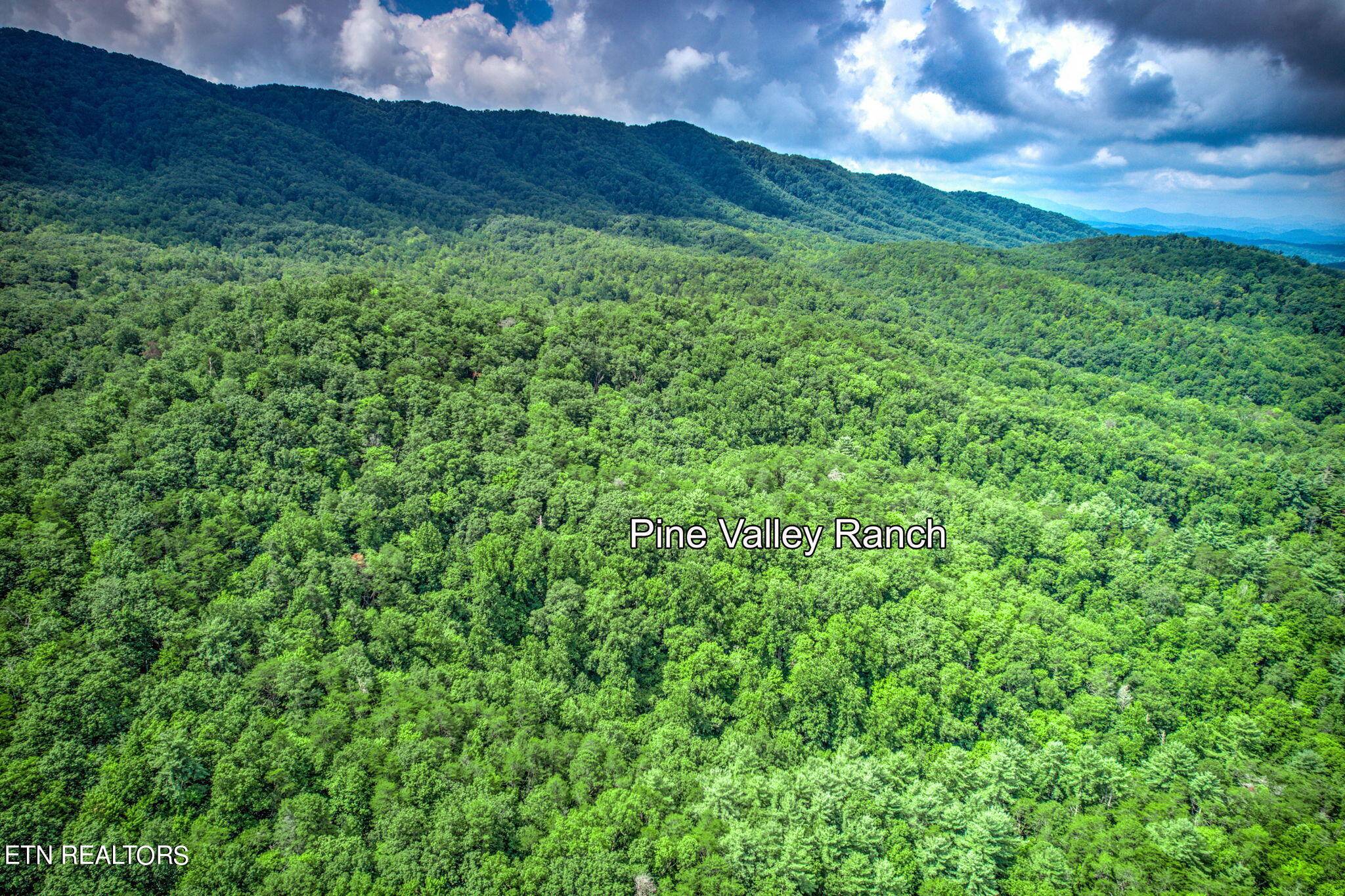 Sevierville, TN 37876,Paint Horse Way Lot #10