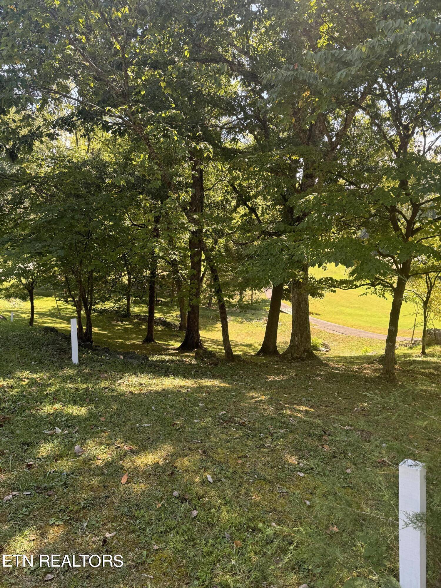 Newport, TN 37821,1181 Golf Course Rd