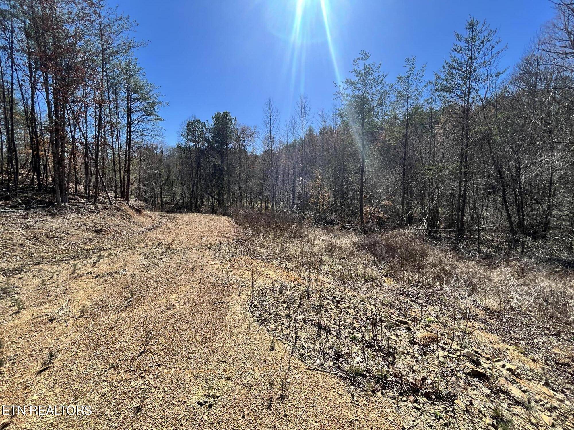 Vonore, TN 37885,Sloan Rd Lot 12