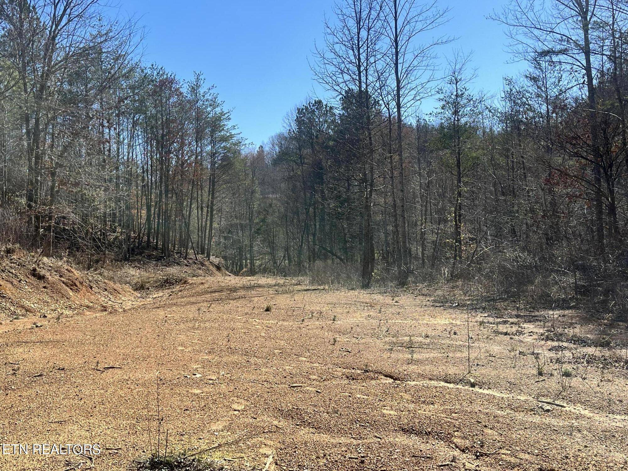 Vonore, TN 37885,Sloan Rd Lot 13