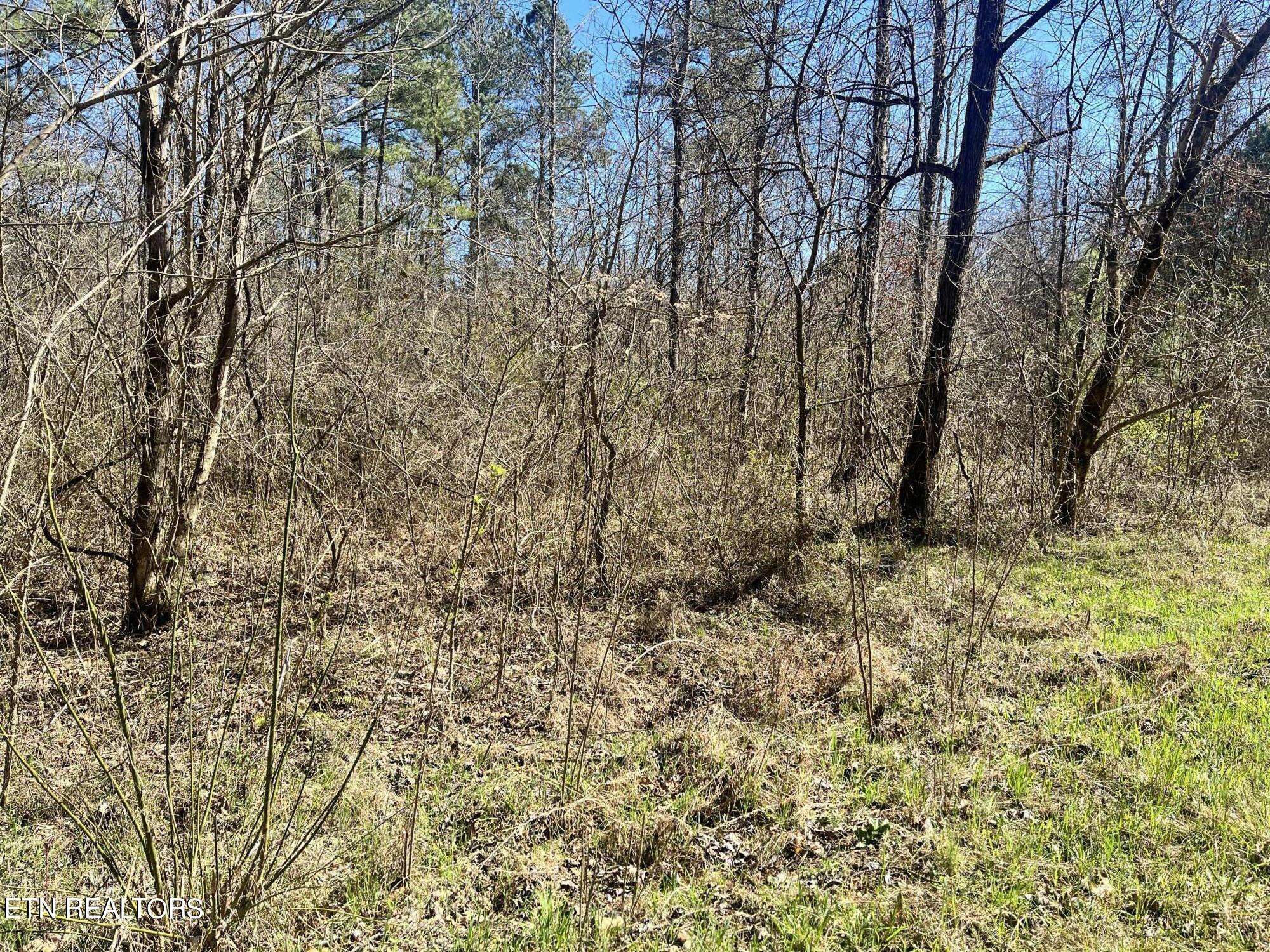 Vonore, TN 37885,Sloan Rd Lot 16