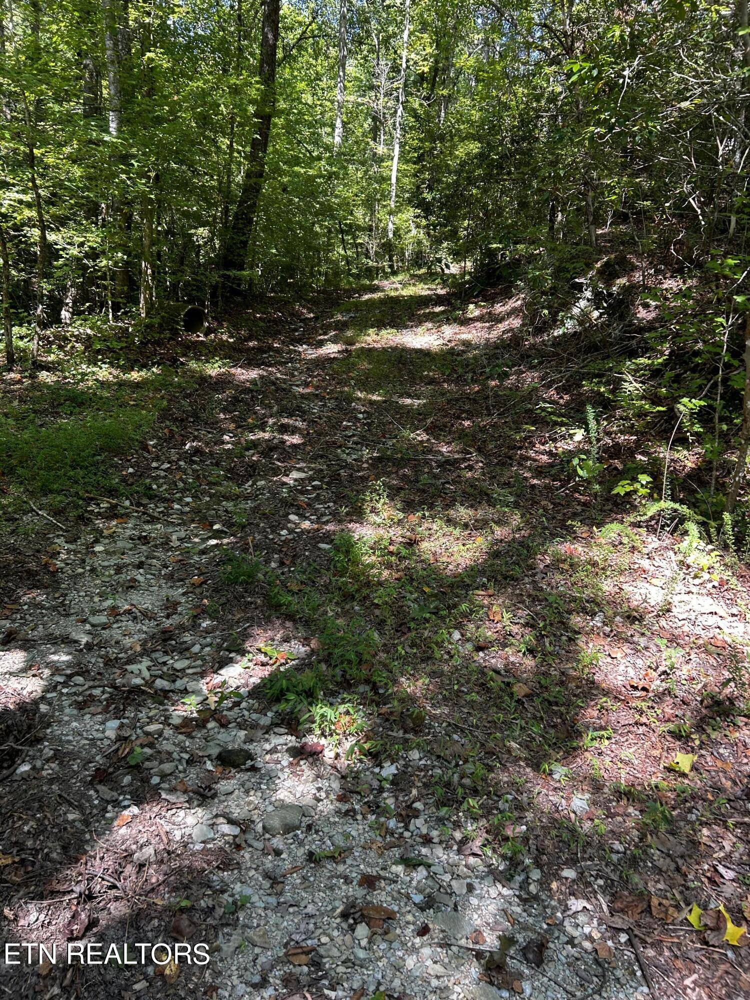 Tellico Plains, TN 37385,Bailey Rd