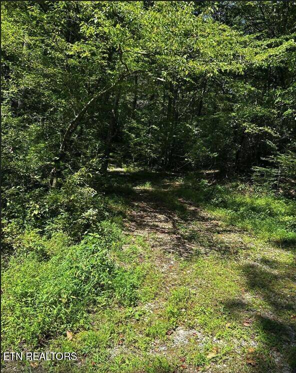 Tellico Plains, TN 37385,Bailey Rd