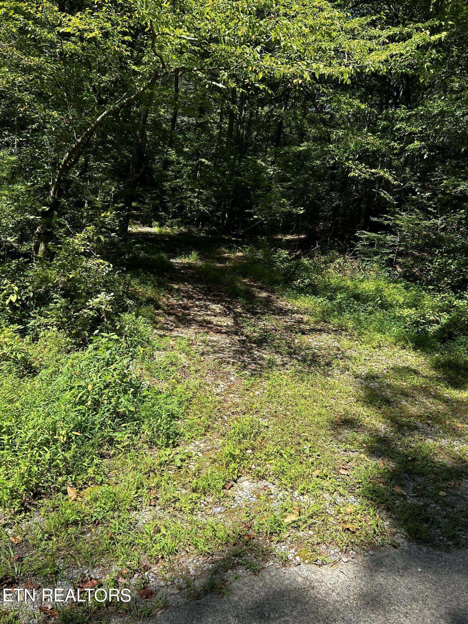 Tellico Plains, TN 37385,Bailey Rd