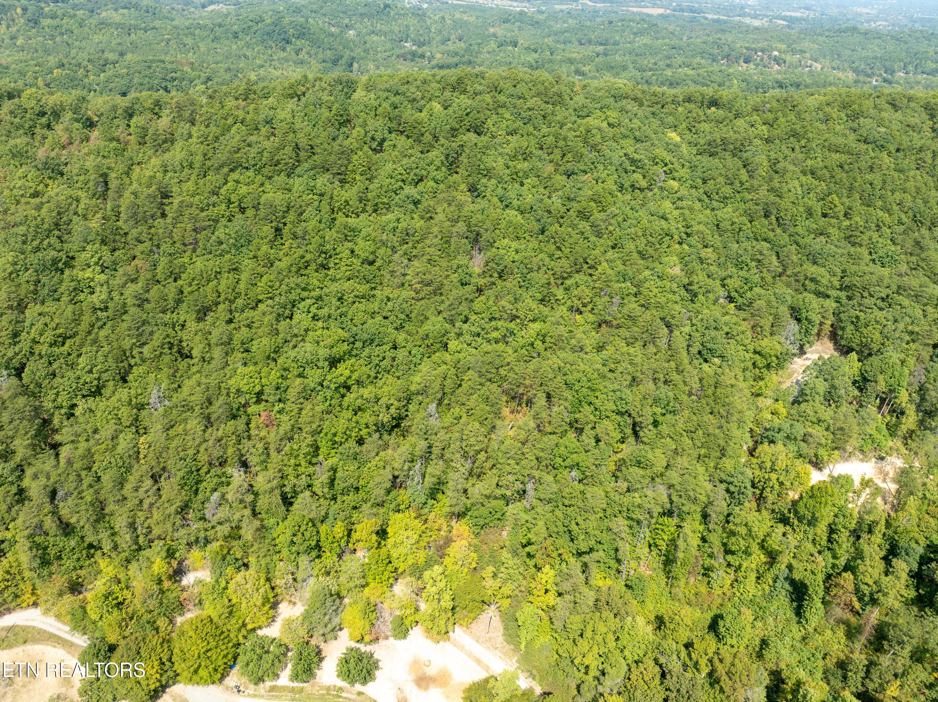 Maryville, TN 37803,Butterfly Hollow Lot 7 Rd