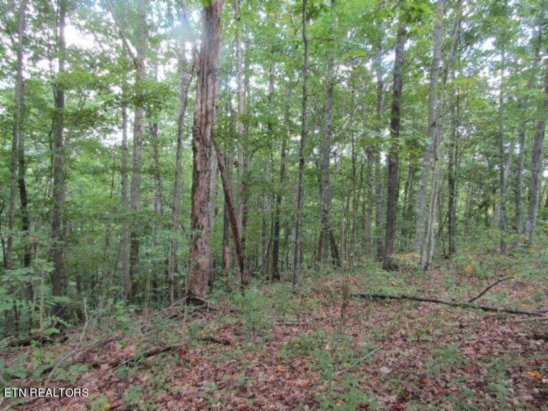 Celina, TN 38551,5.017ac Backwoods Trail