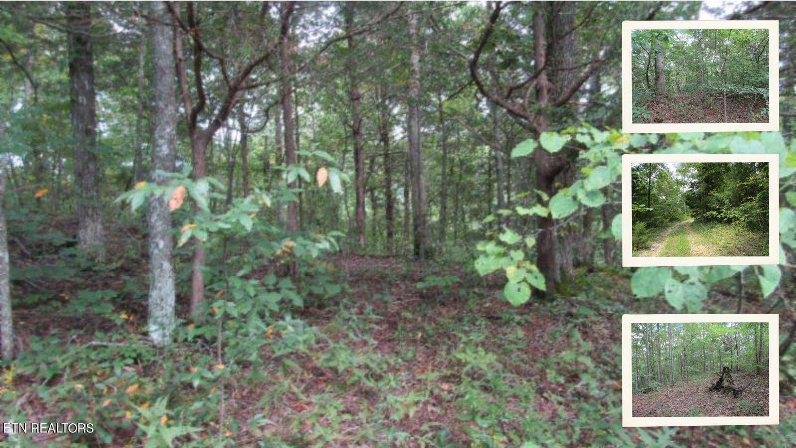 Celina, TN 38551,5.017ac Backwoods Trail