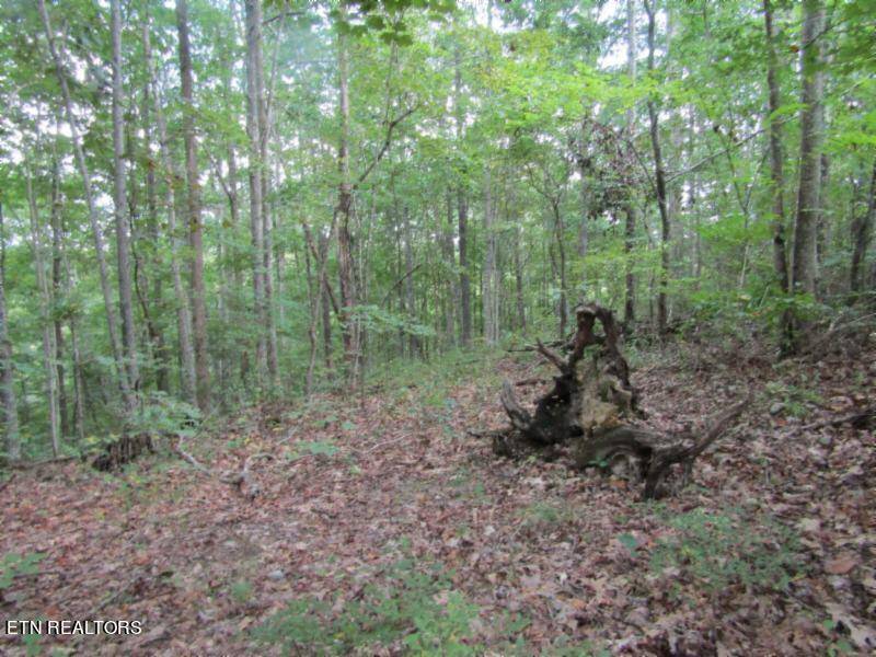 Celina, TN 38551,5.017ac Backwoods Trail