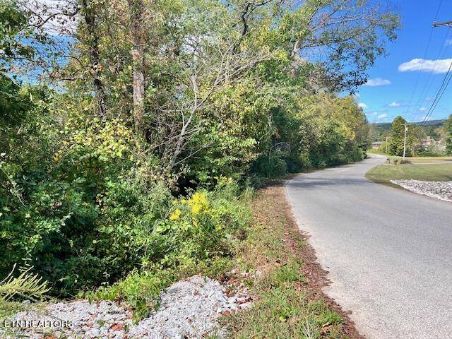 Rockwood, TN 37854,Wilderness Tr