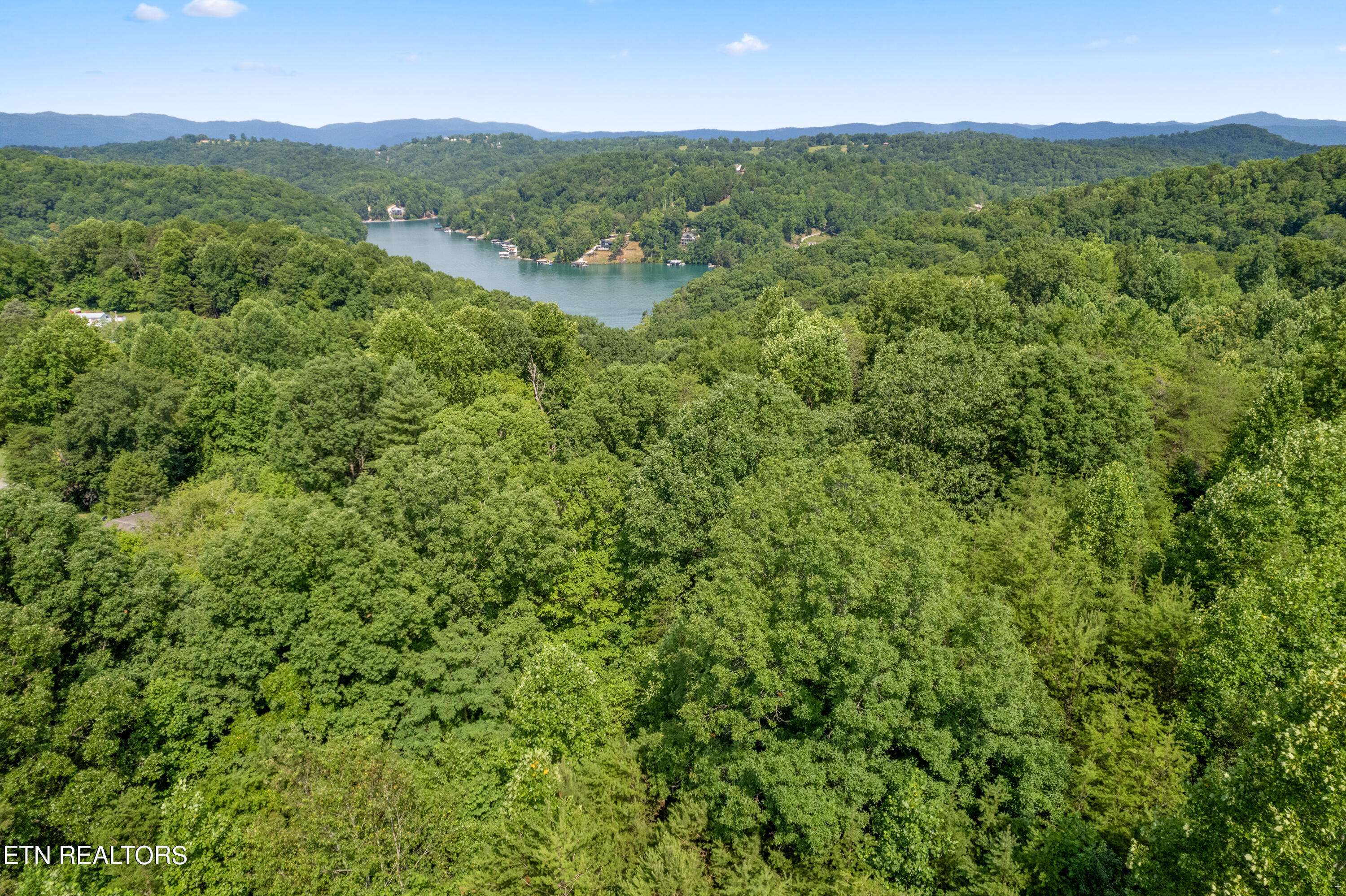 Lafollette, TN 37766,00 Chestnut Stump Rd