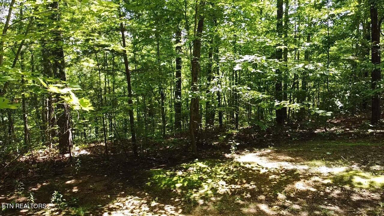 Sevierville, TN 37862,Lot 45 Patriot LN