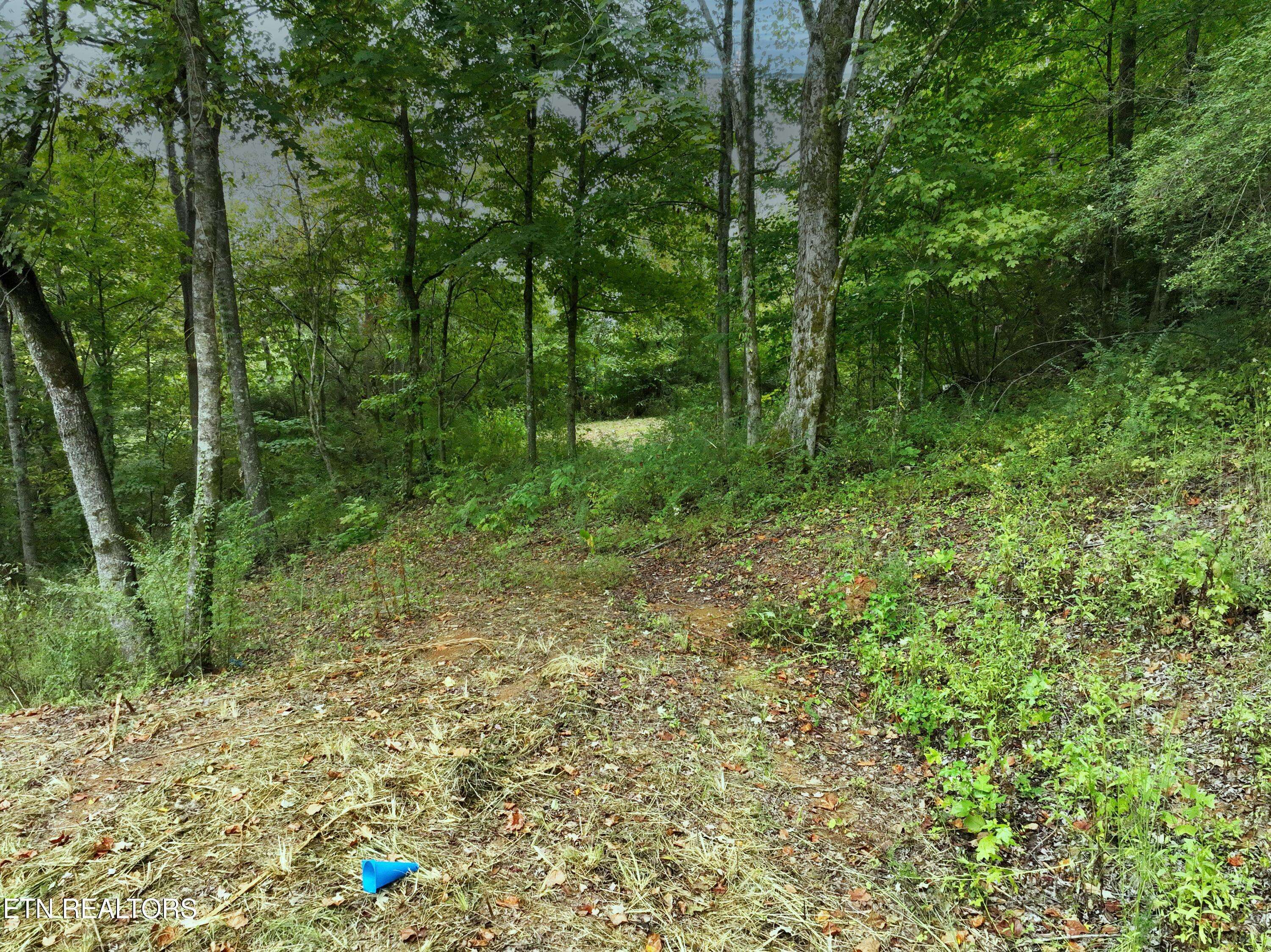 Powell, TN 37849,1101 Brushy Valley DR