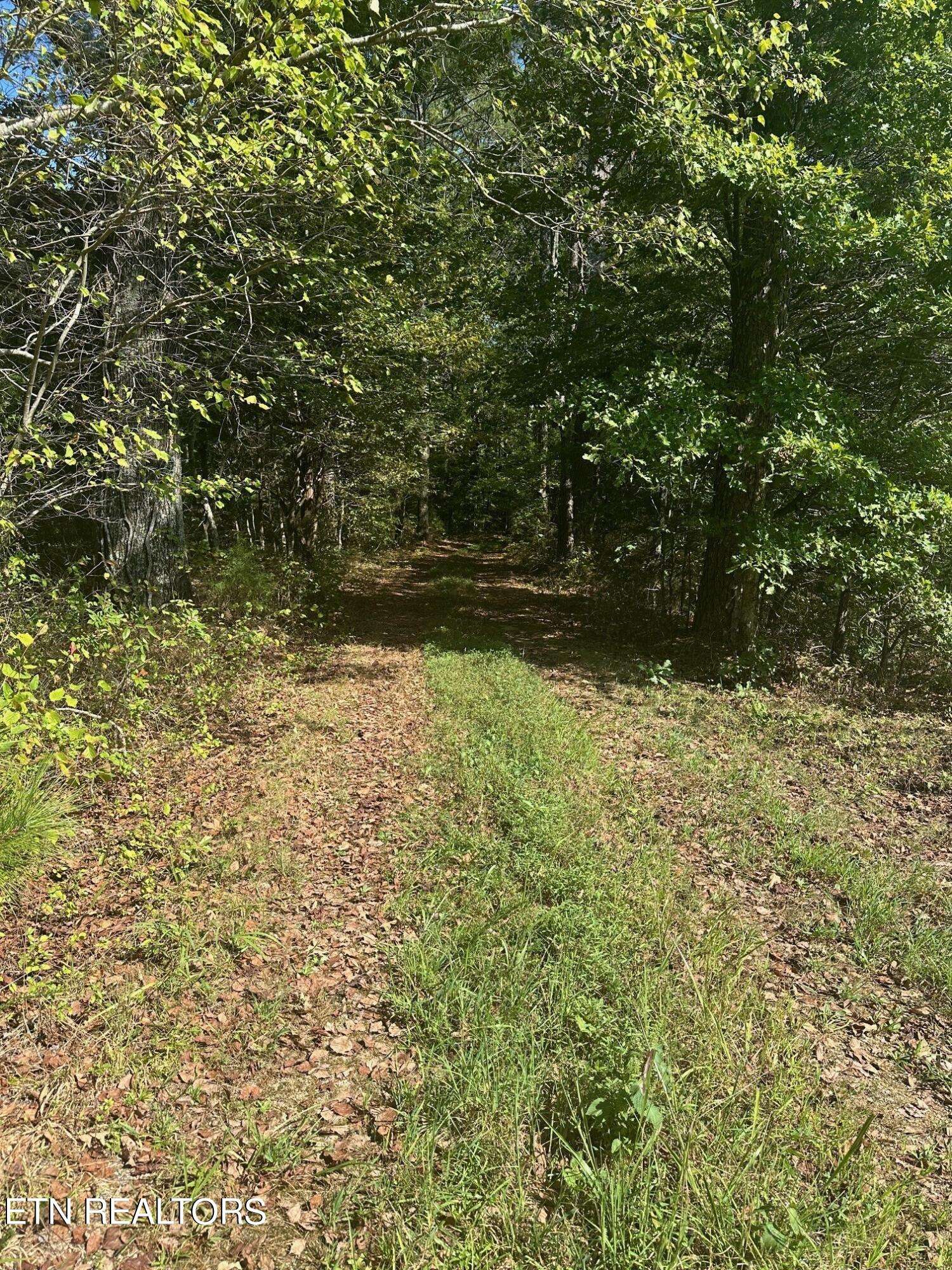 Hohenwald, TN 38462,1495 Trace Creek Rd