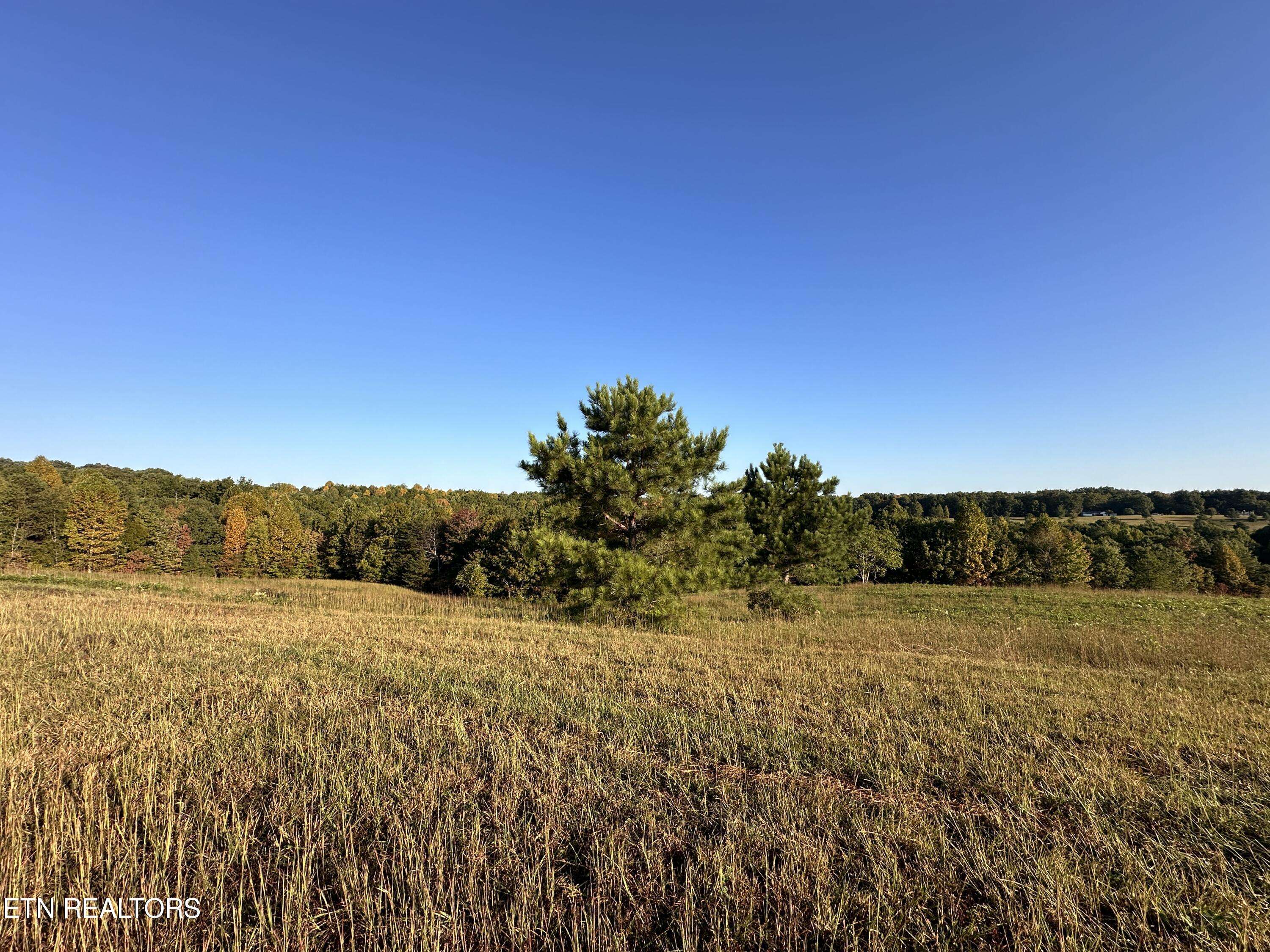 Jamestown, TN 38556,12.48 Ac Nichol Creek DR