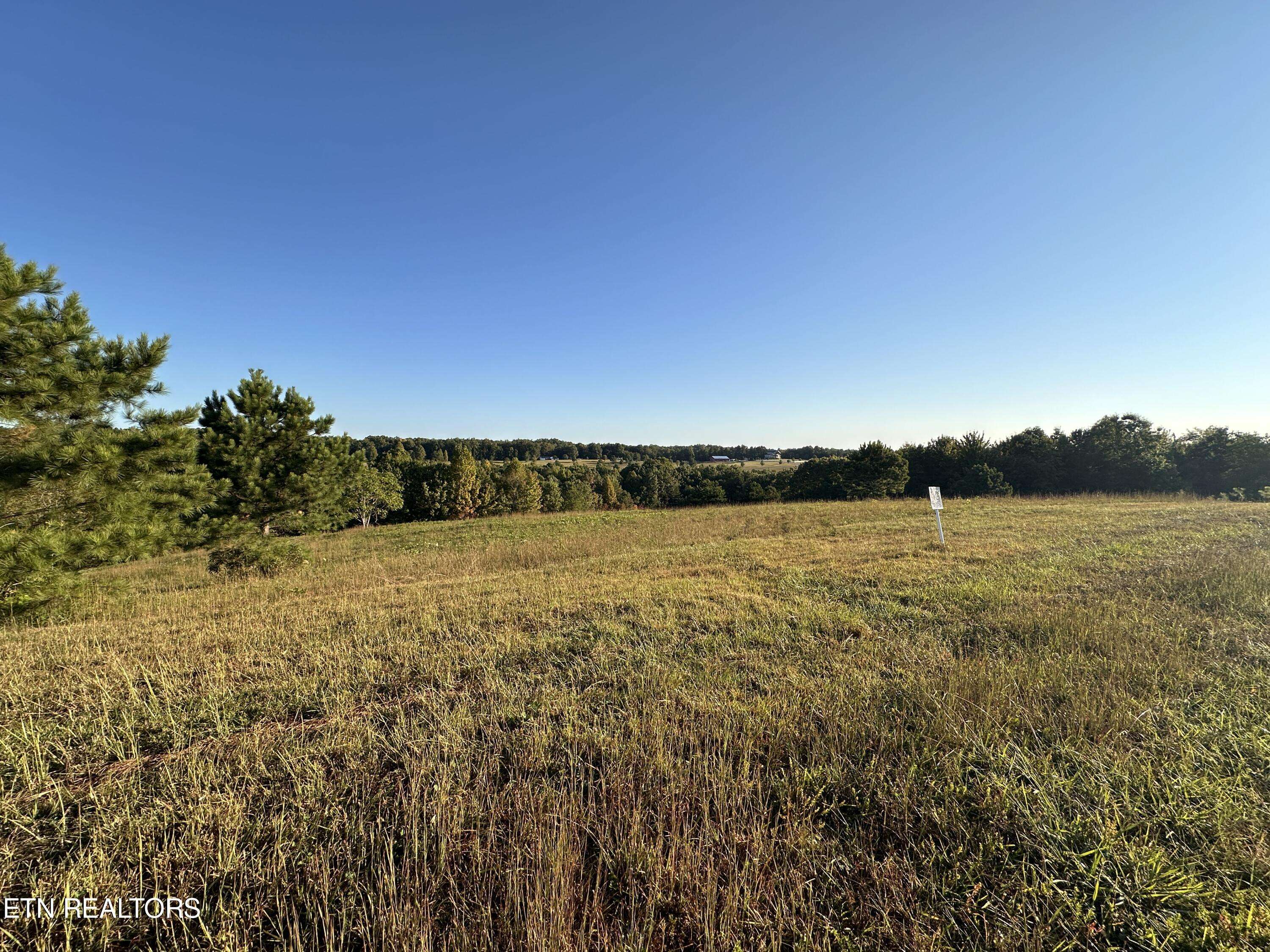 Jamestown, TN 38556,12.48 Ac Nichol Creek DR