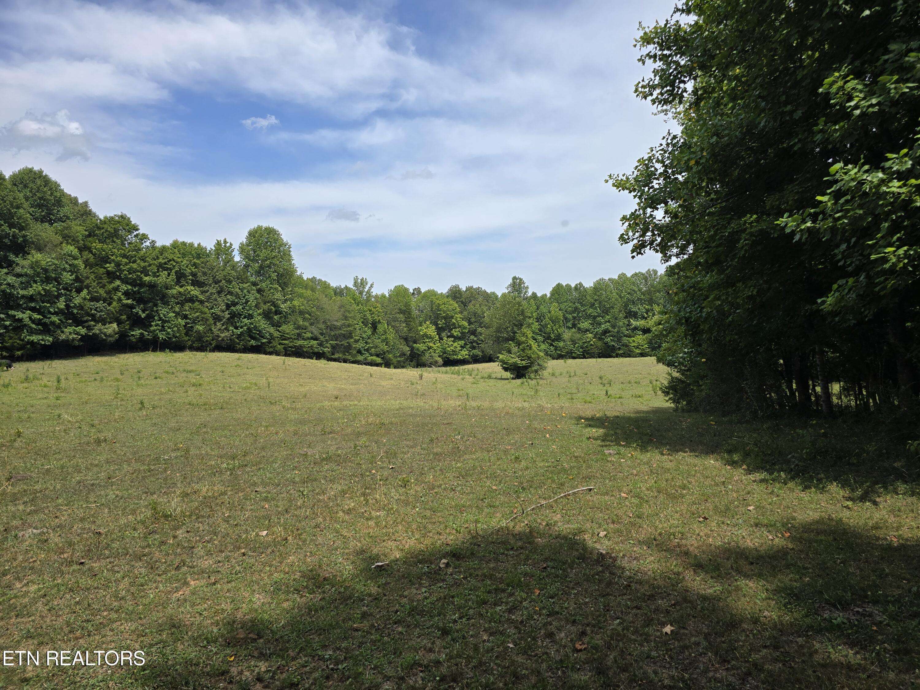 Sparta, TN 38583,15.07 AC. Frank Massa Rd