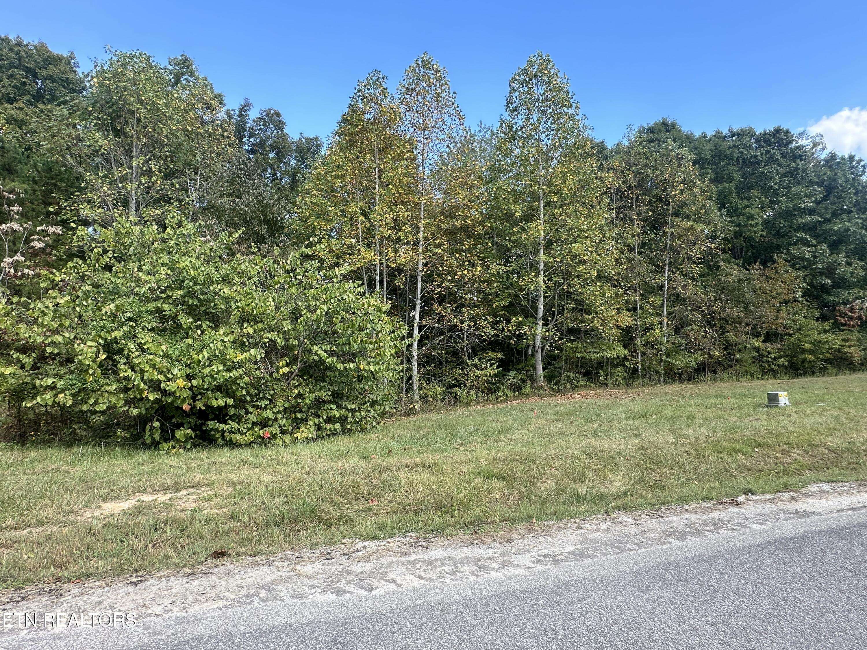 Lafollette, TN 37766,#43 Old Hearth DR
