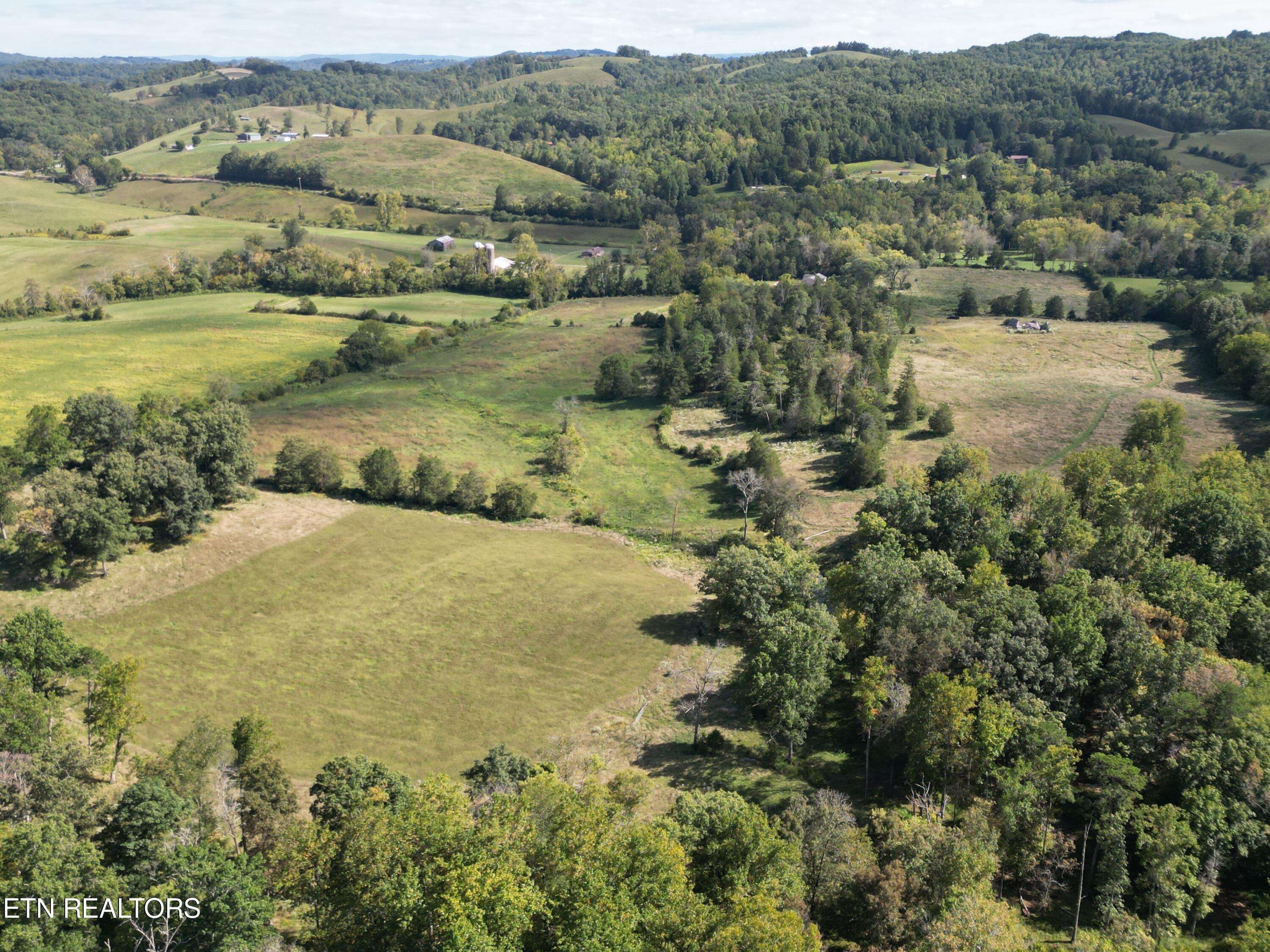 Speedwell, TN 37870,317 Singleton Hollow Rd