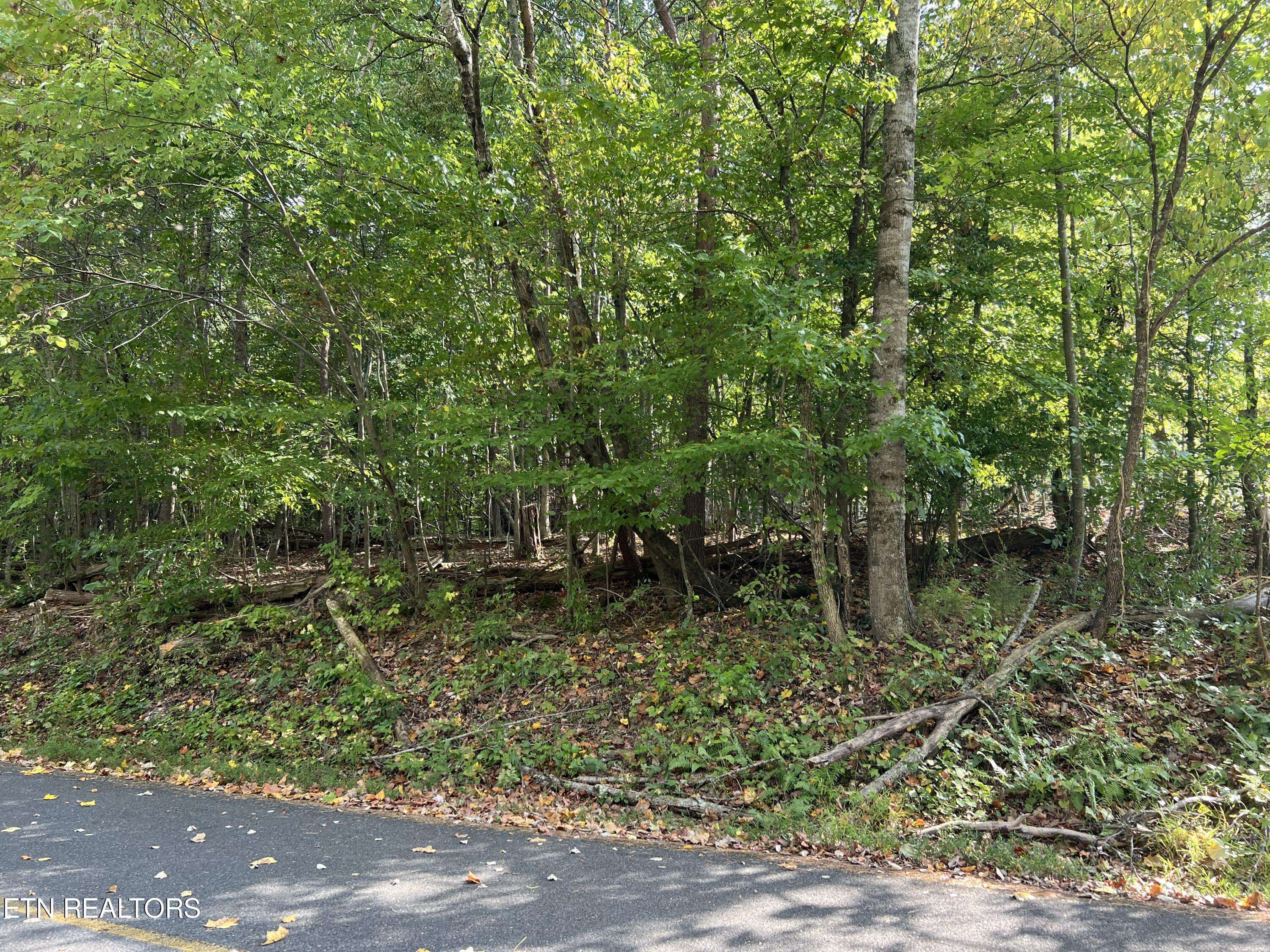 Baneberry, TN 37890,Lot 20 Hazelwood CT