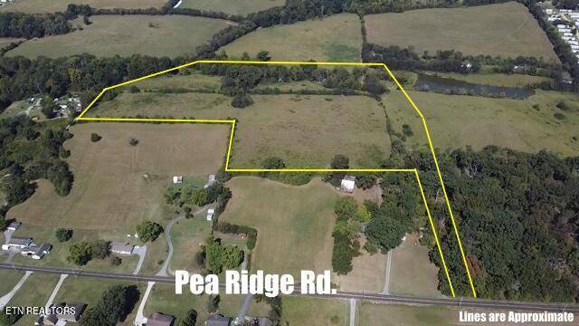 Maryville, TN 37804,Pea Ridge Rd