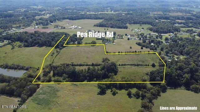 Maryville, TN 37804,Pea Ridge Rd