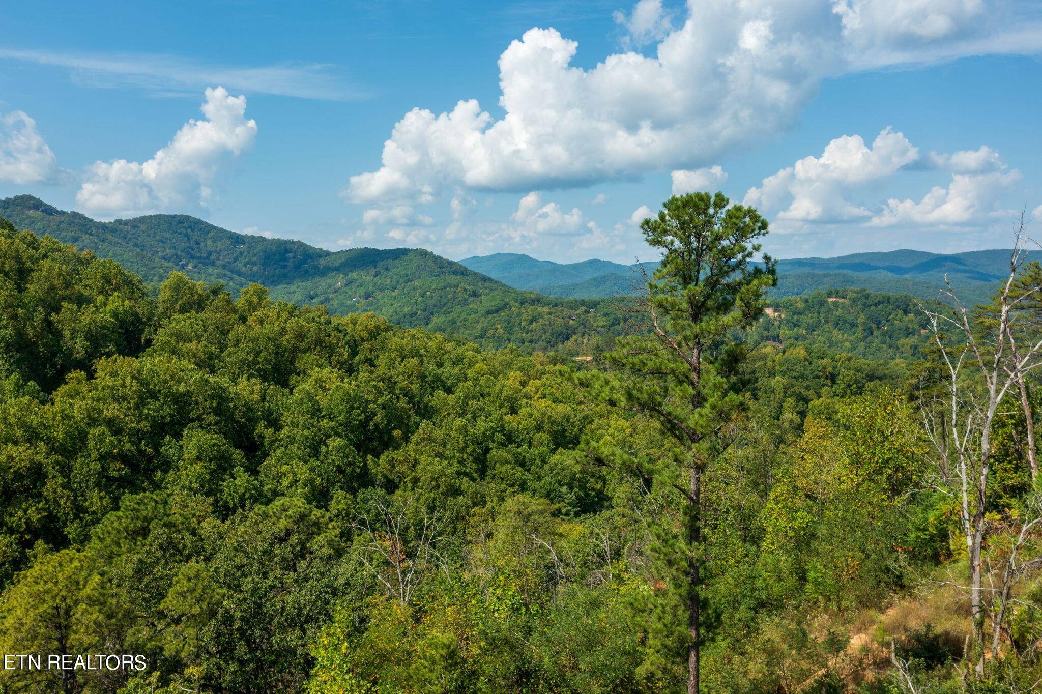 Sevierville, TN 37862,3217 Emerald Springs Loop, Lot 8