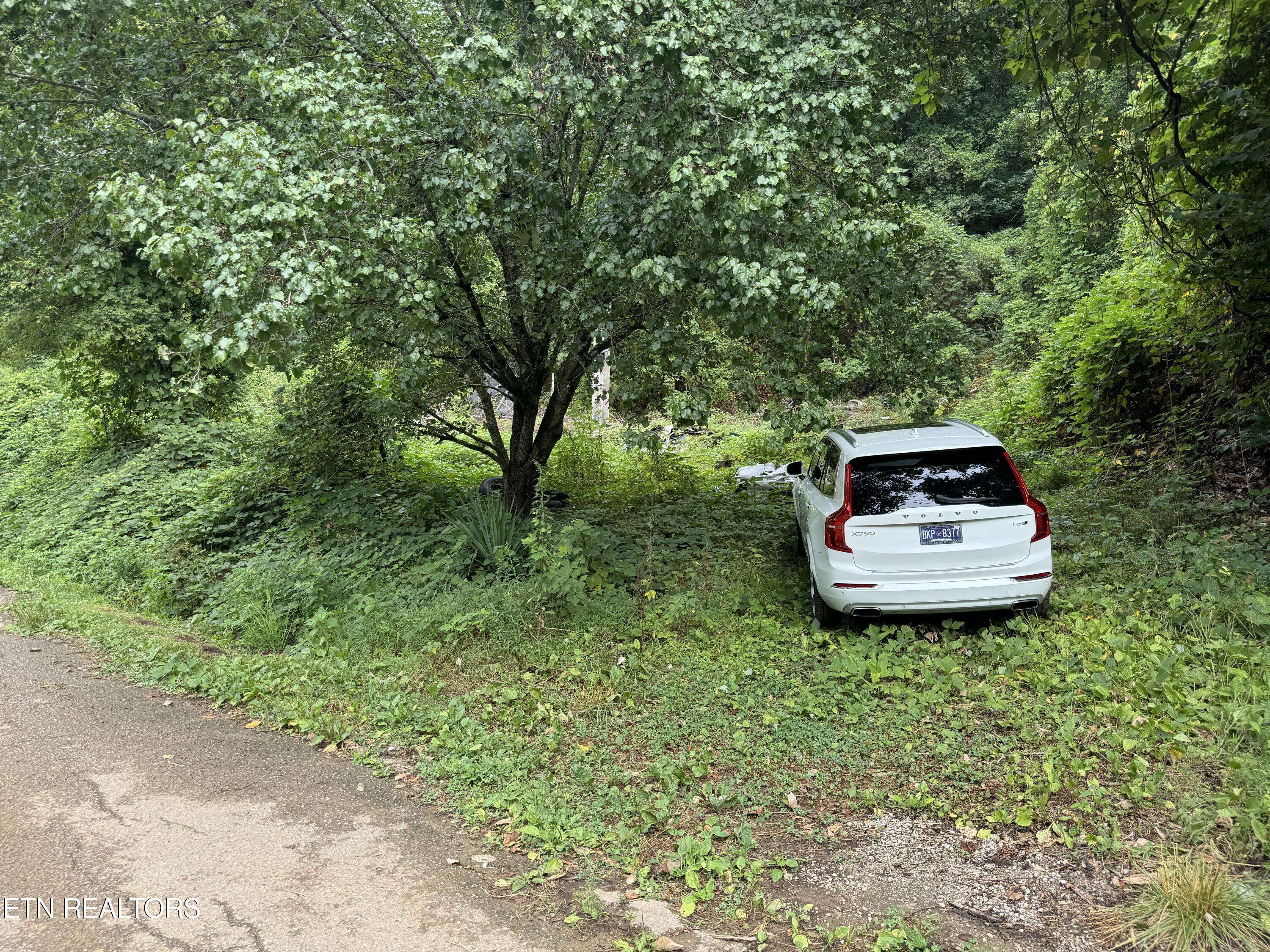 Harriman, TN 37748,229 Martin Hollow Rd