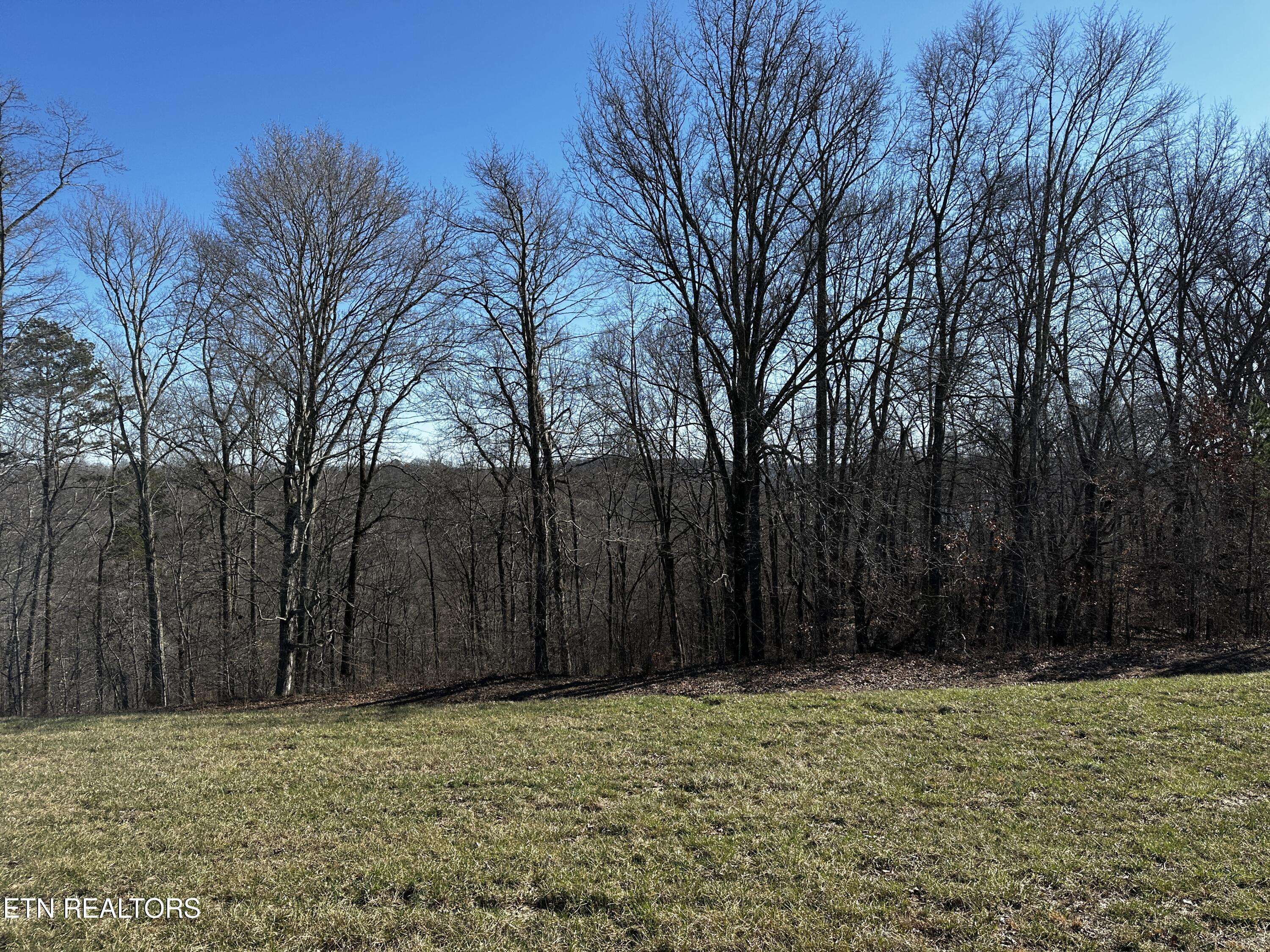 Lafollette, TN 37766,535 Prestige Ridge