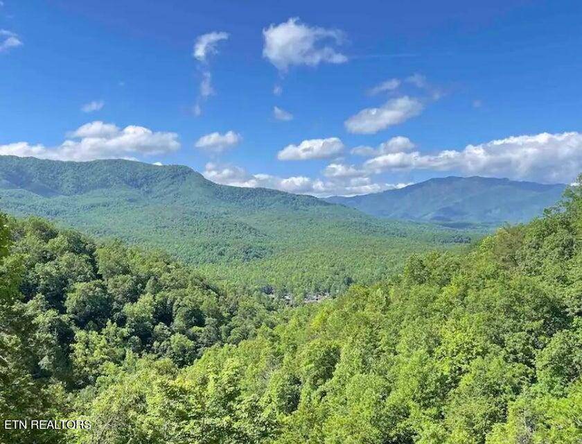 Gatlinburg, TN 37738,842 Vixen Run