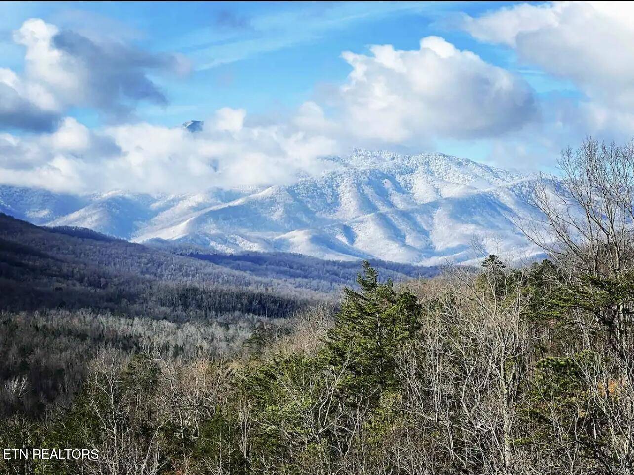 Gatlinburg, TN 37738,842 Vixen Run